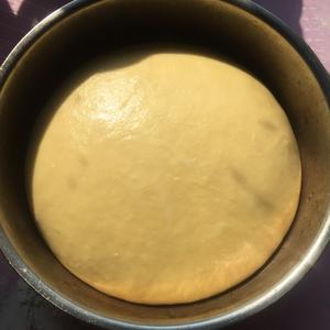 椰蓉蜜豆餐包（内附：蜜豆做法）的做法 步骤3