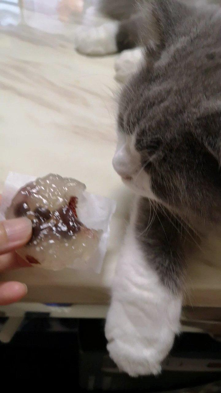 西米糕