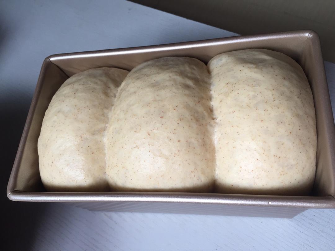 史上最详细的基础吐司教程