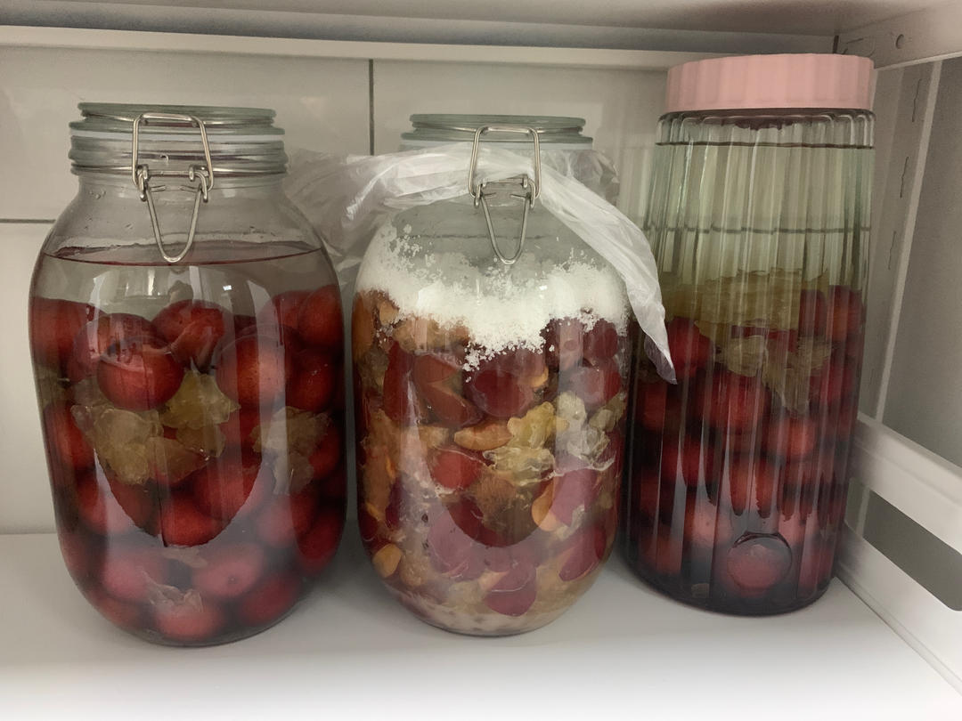 李子酒（不加白酒自然发酵）