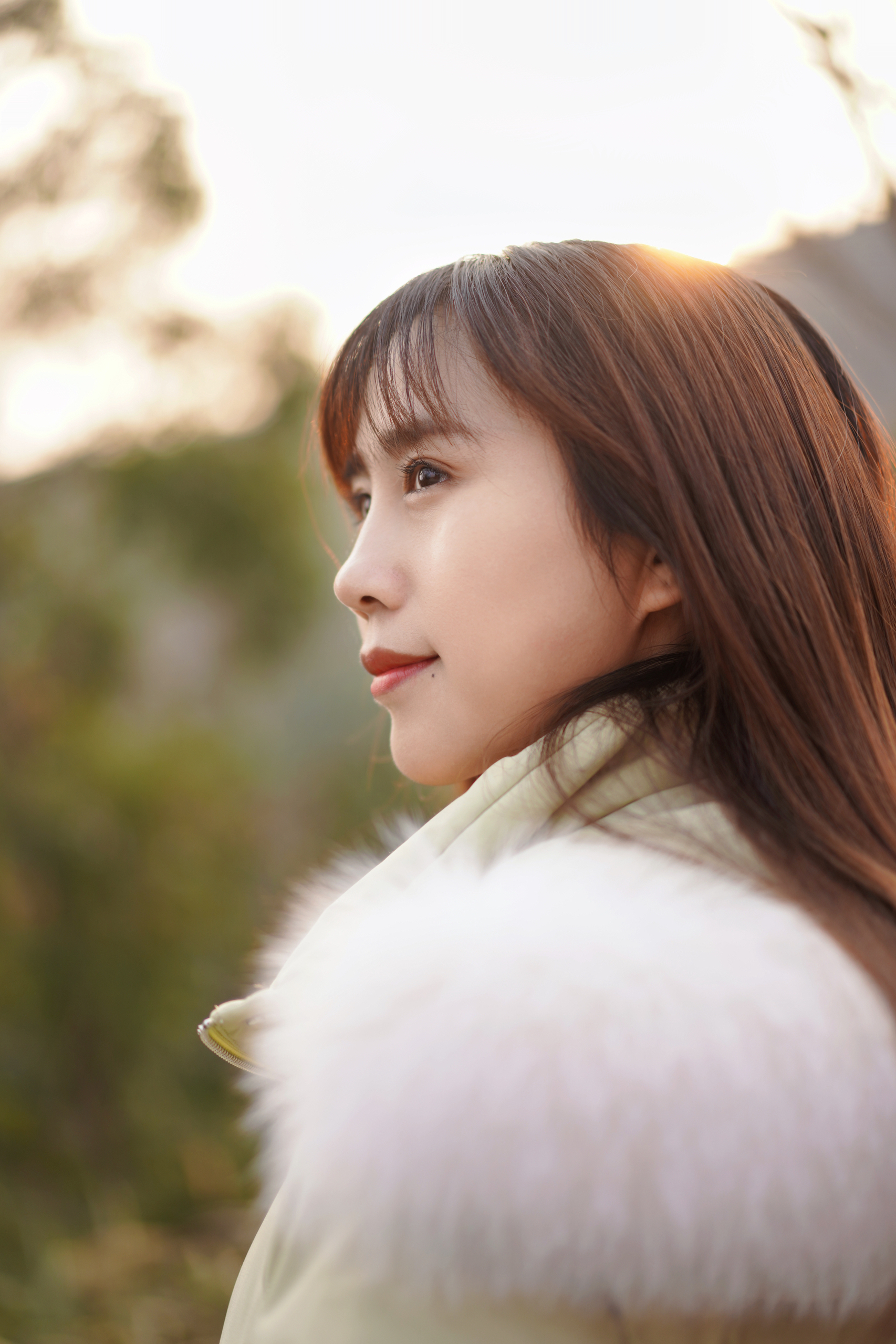 独留枯荷听雨静