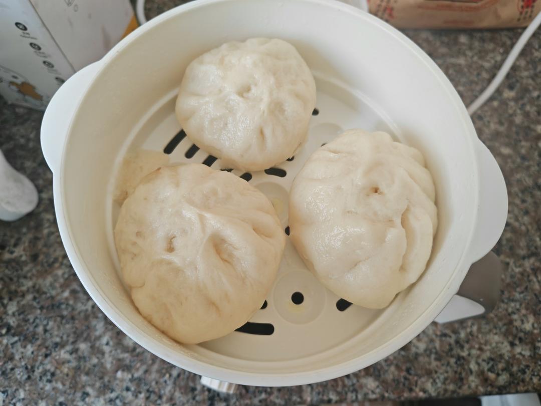 好吃多汁的肉包子肉馒头【步骤超详细】