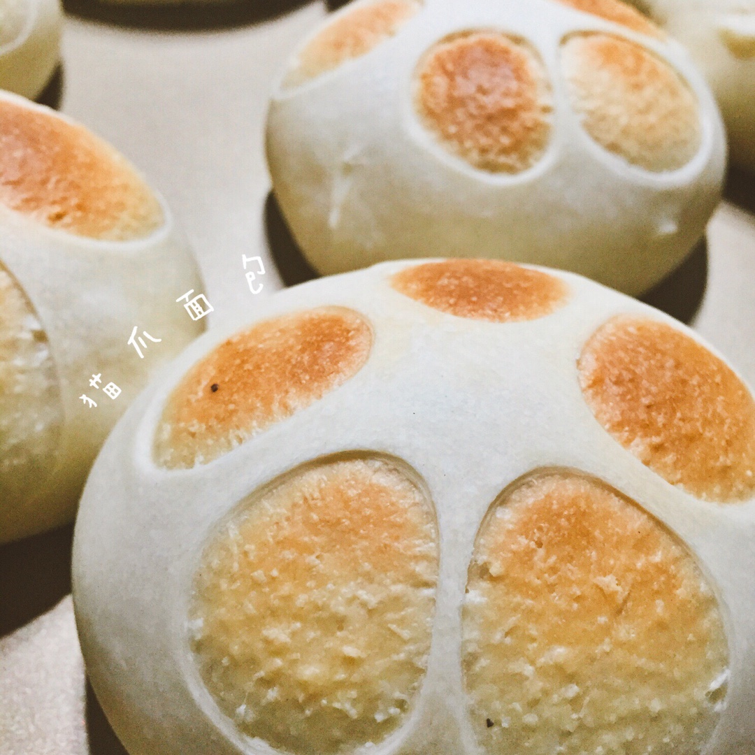 猫爪椰蓉面包——欧克皮的简单装饰