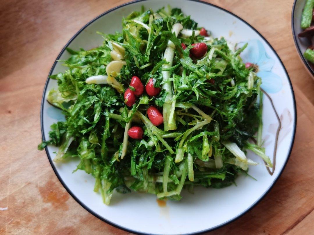 凉拌苦菊