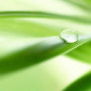 QXFW的雨点
