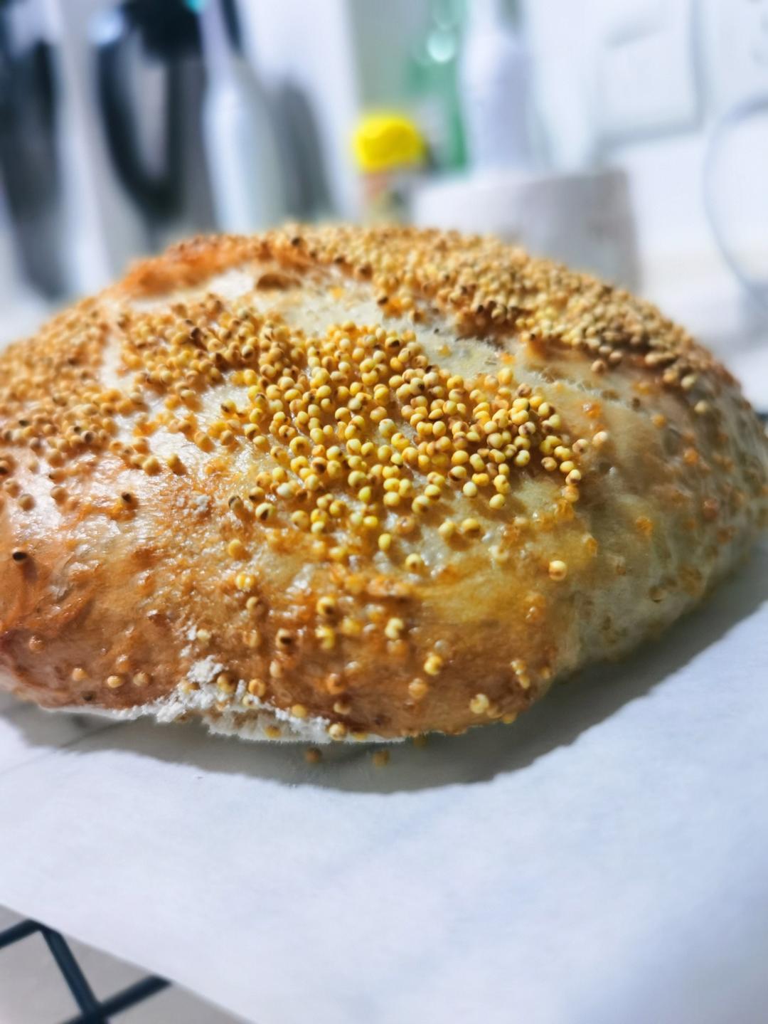 消耗废弃酵种-低水量中筋粉欧包【北鼎烤箱食谱】