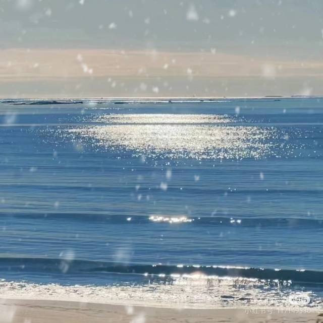 幸运鹅鹅鹅00