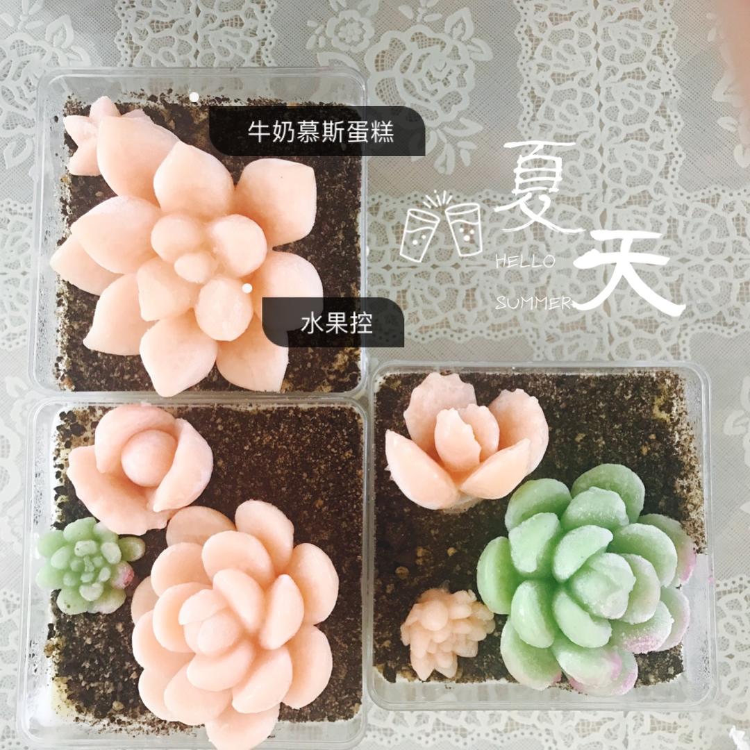 堂妈的多肉蛋糕