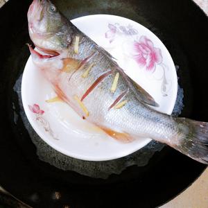 【清蒸鲈鱼】肉质鲜嫩、滑口的做法 步骤5