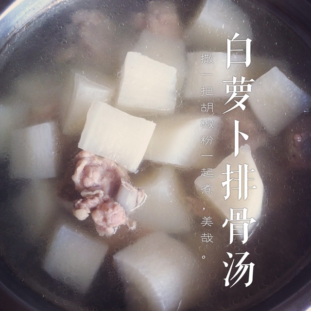 白萝卜排骨汤