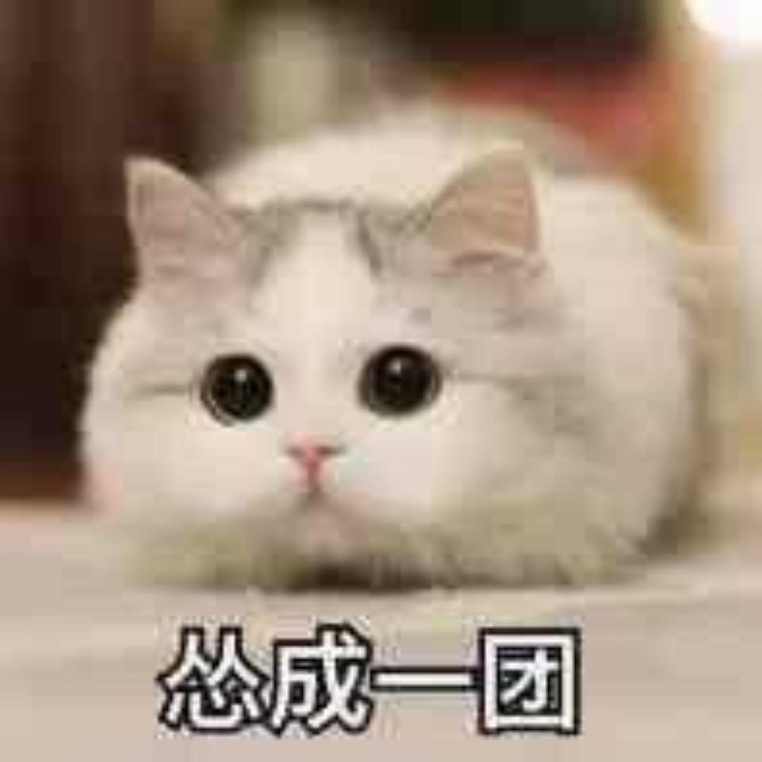 殇的