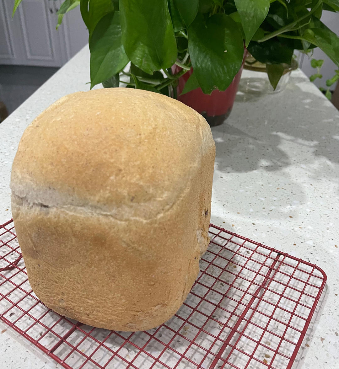 一键式全麦蔓越莓吐司