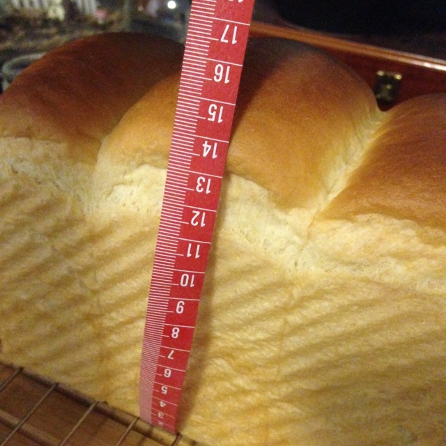 北海道牛奶吐司（100%冷藏中种法）