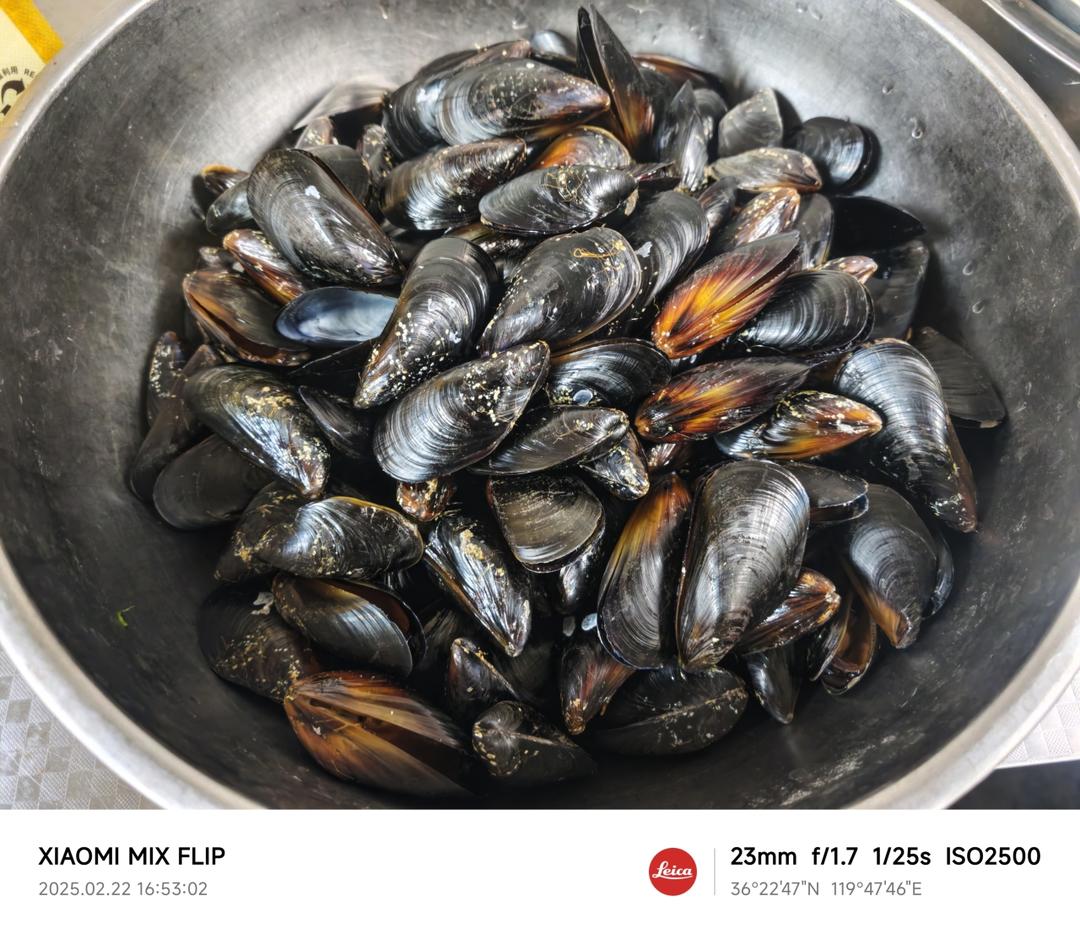正确「煮海虹」的方法🤙🤙🤙
