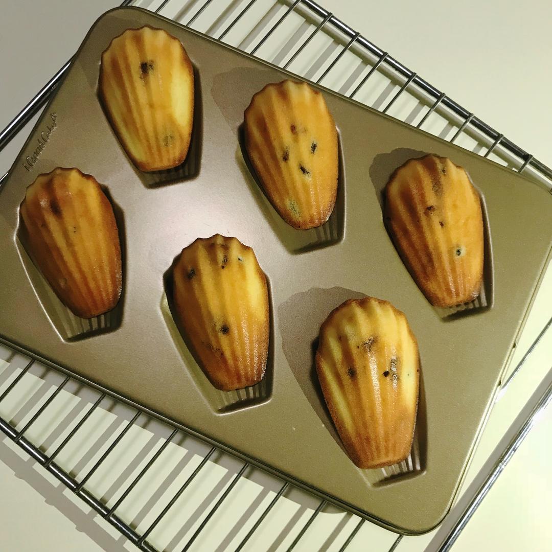 蔓越莓玛德琳