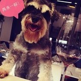 烤鸡偶尔会下厨