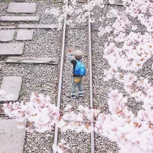 手机用户3930_diwt