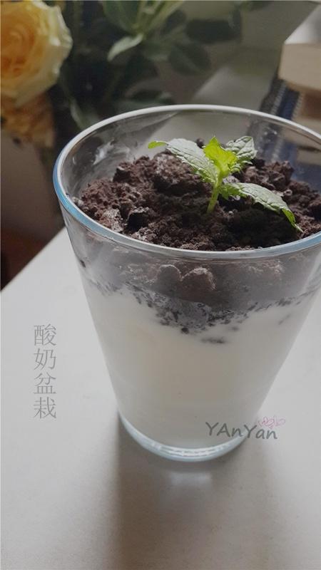 盆栽酸奶小清新的做法