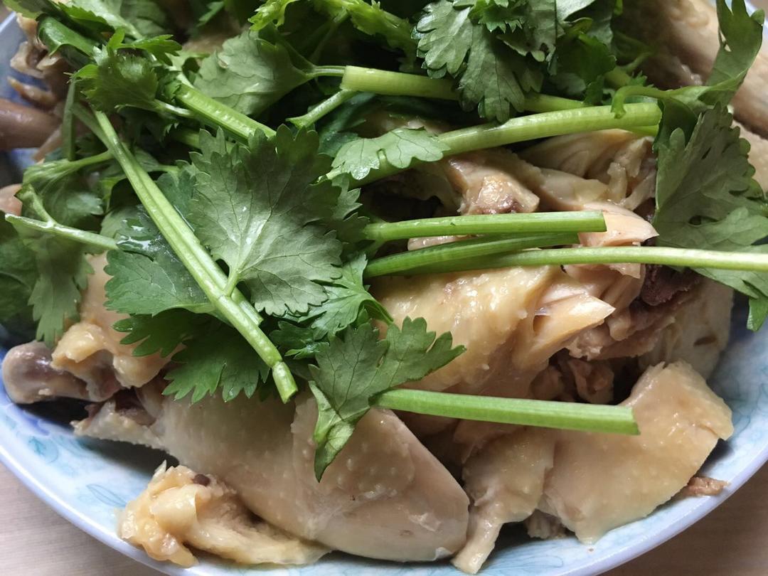 白斩鸡—独家秘制蘸酱料