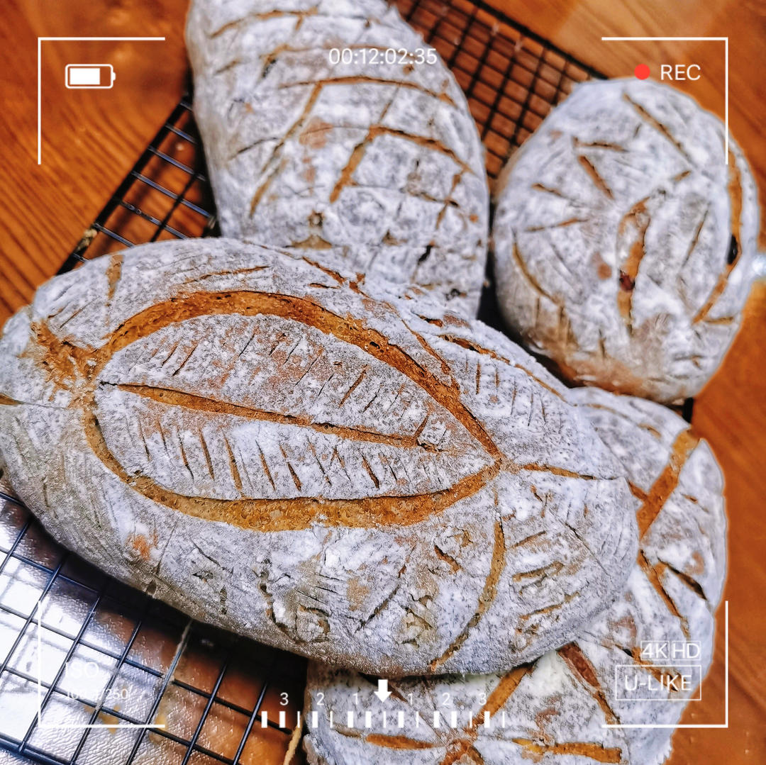 全麦蔓越莓核桃软欧包