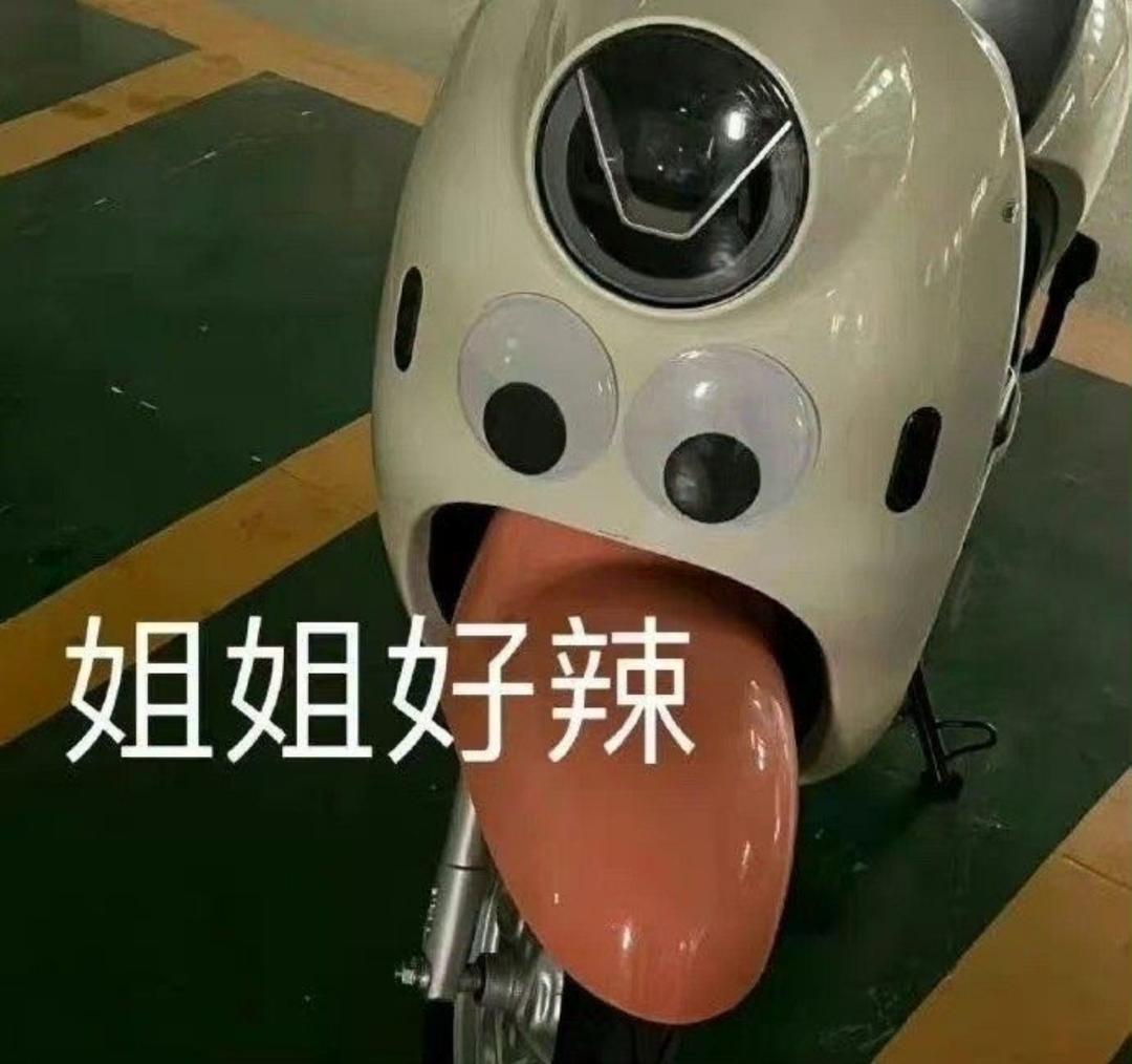 饼饼的海盐真知棒