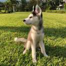 手机用户9599_3sj4