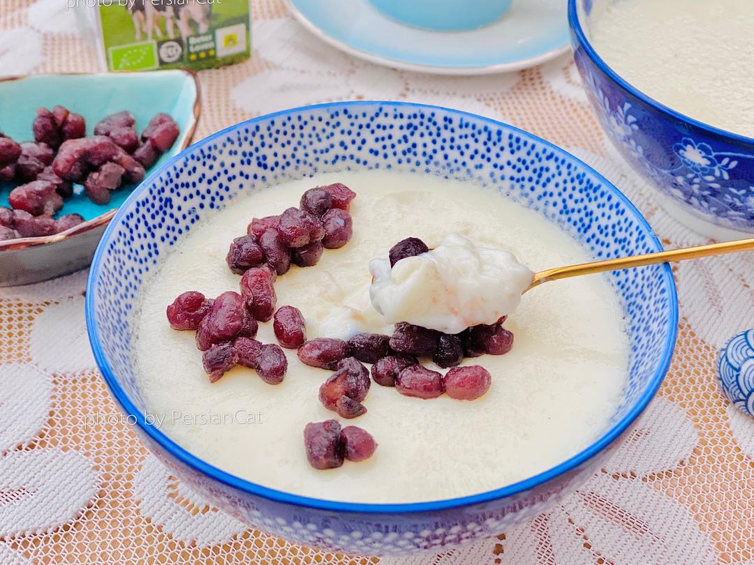 正宗广东顺德双皮奶｜简单易做的做法