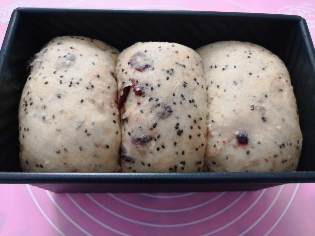 100%全麦酸奶黑芝麻吐司