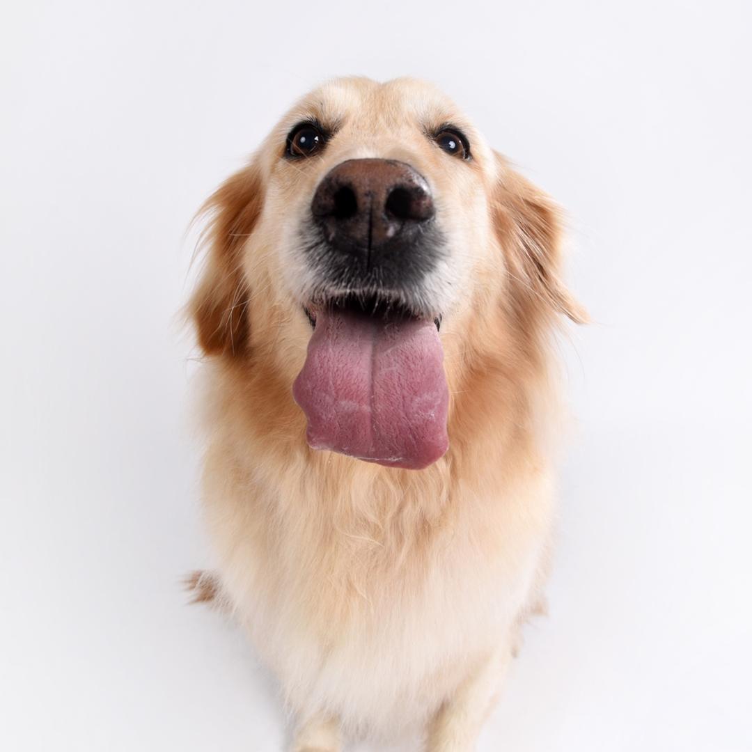 张小sa逃离计划