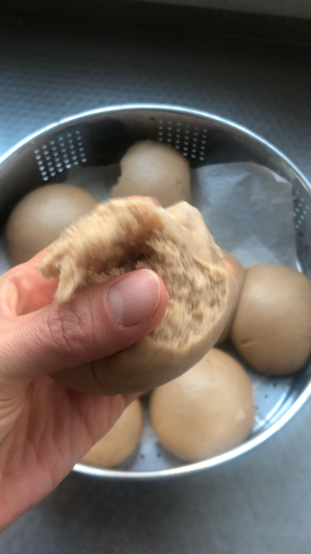 全麦馒头（一次发酵）