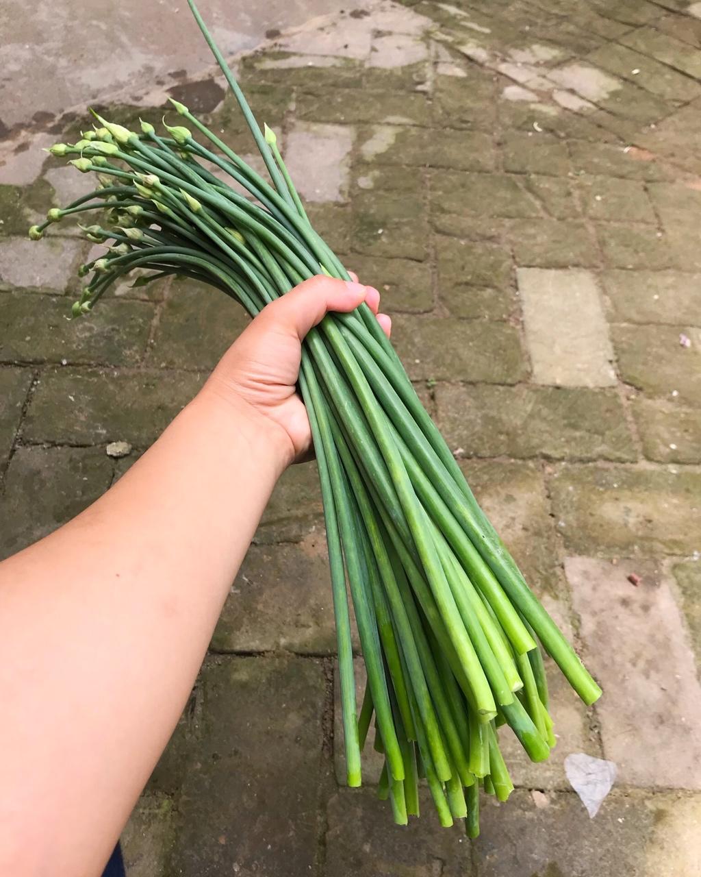 多多-duoduo分享作品晚餐612018年4月30日葱苔.