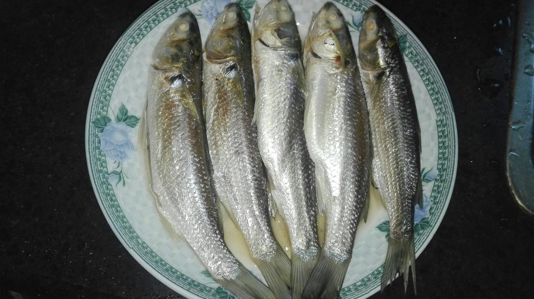 作品晚餐612018年6月11日#晚餐612018年6月11日#乌尖鱼饭android