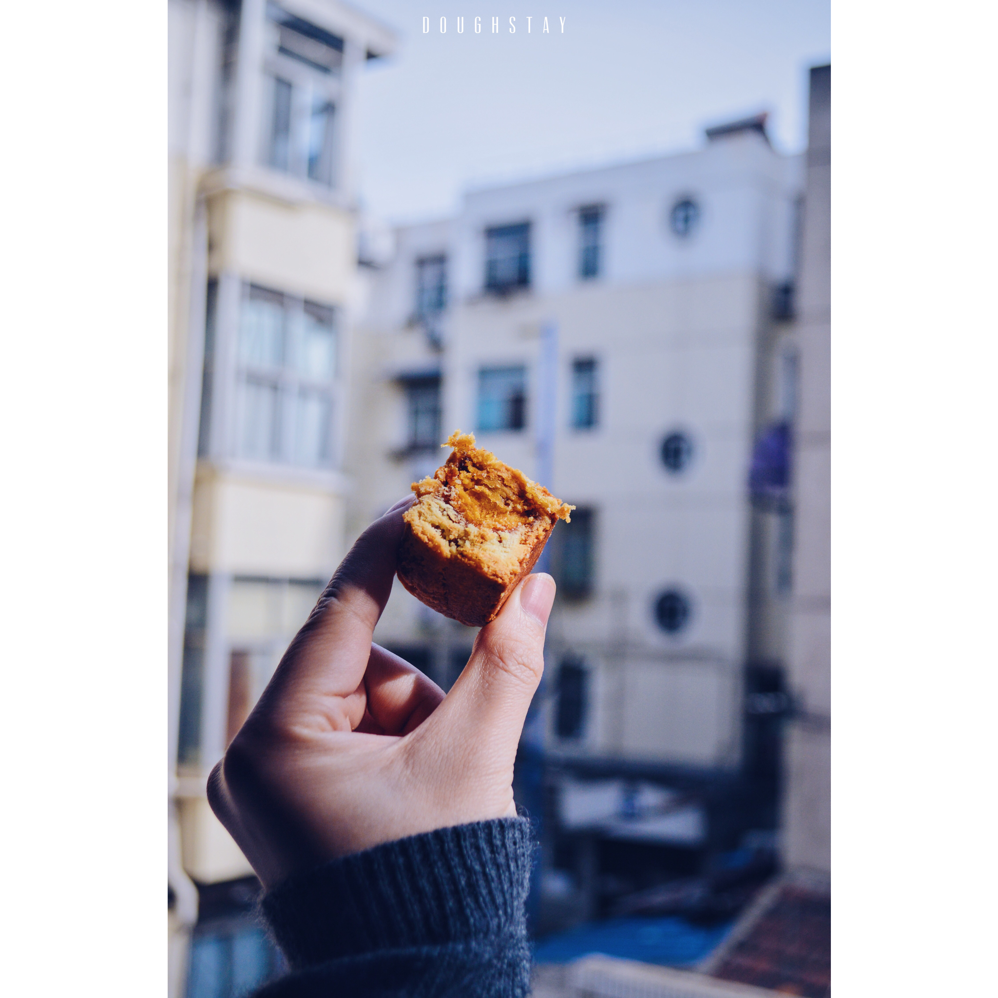 凤凰酥-凤梨蛋黄酥