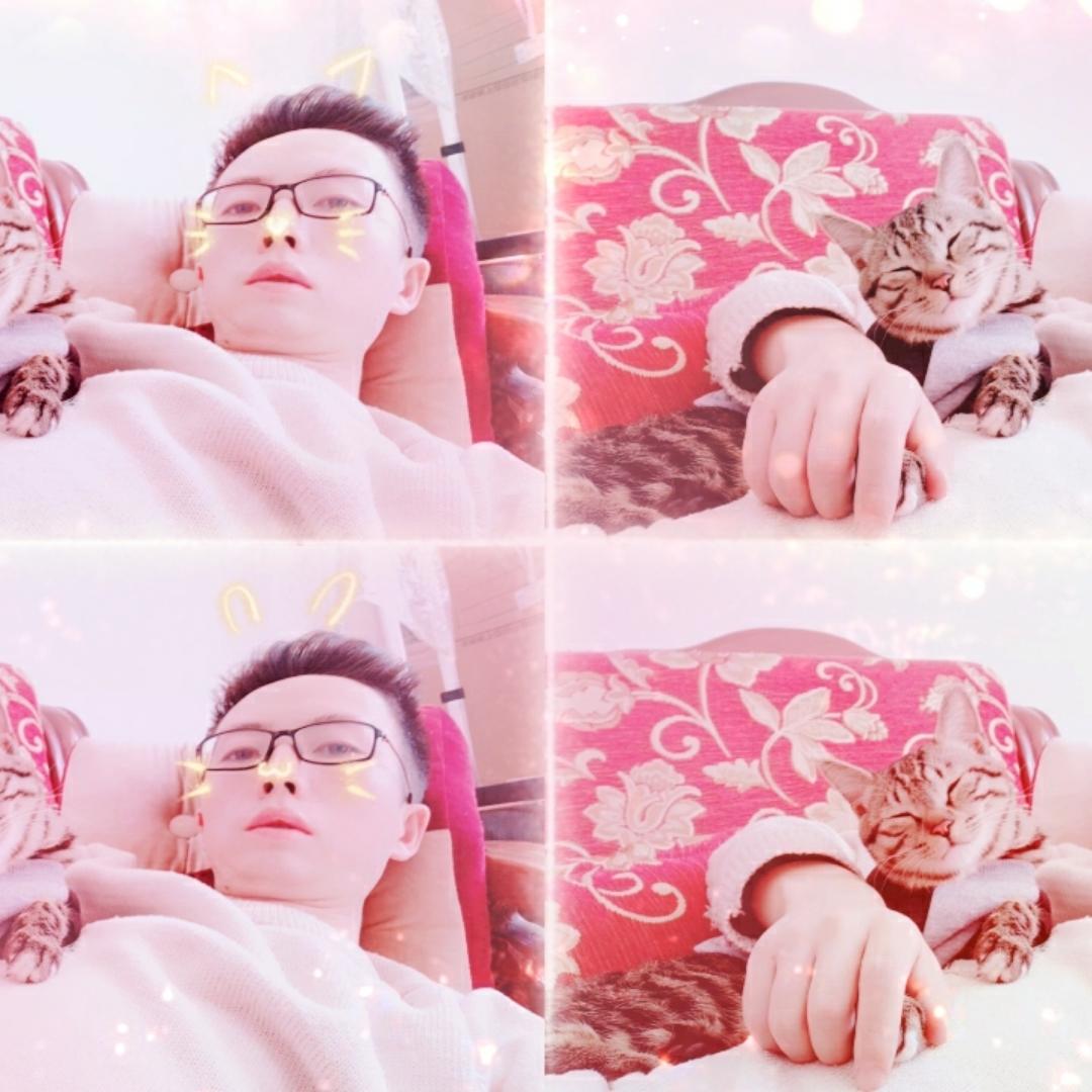 红烧龙肉