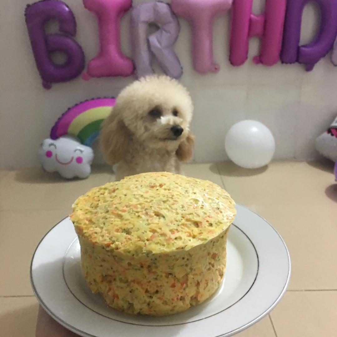 宠物蛋糕 狗狗蛋糕