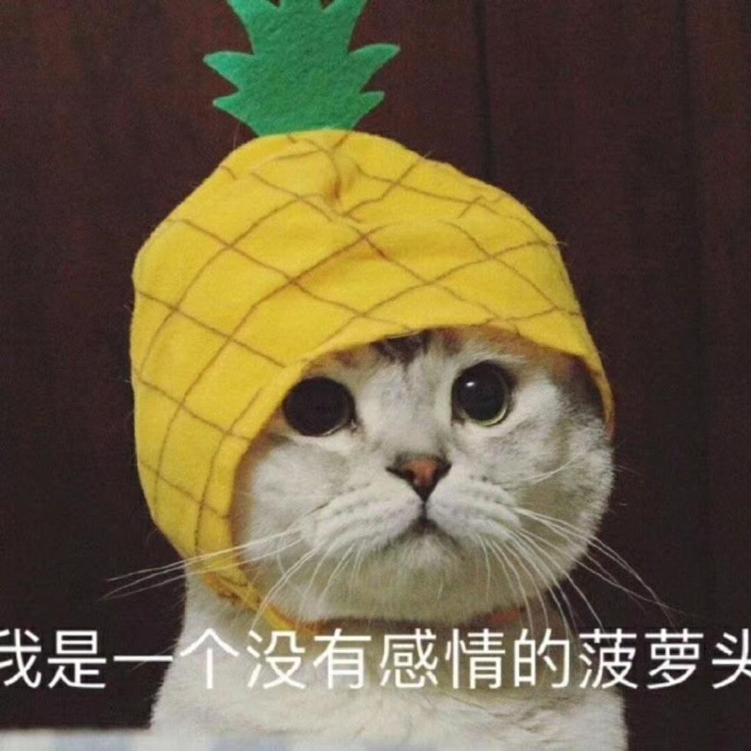 爱吃菠萝排骨