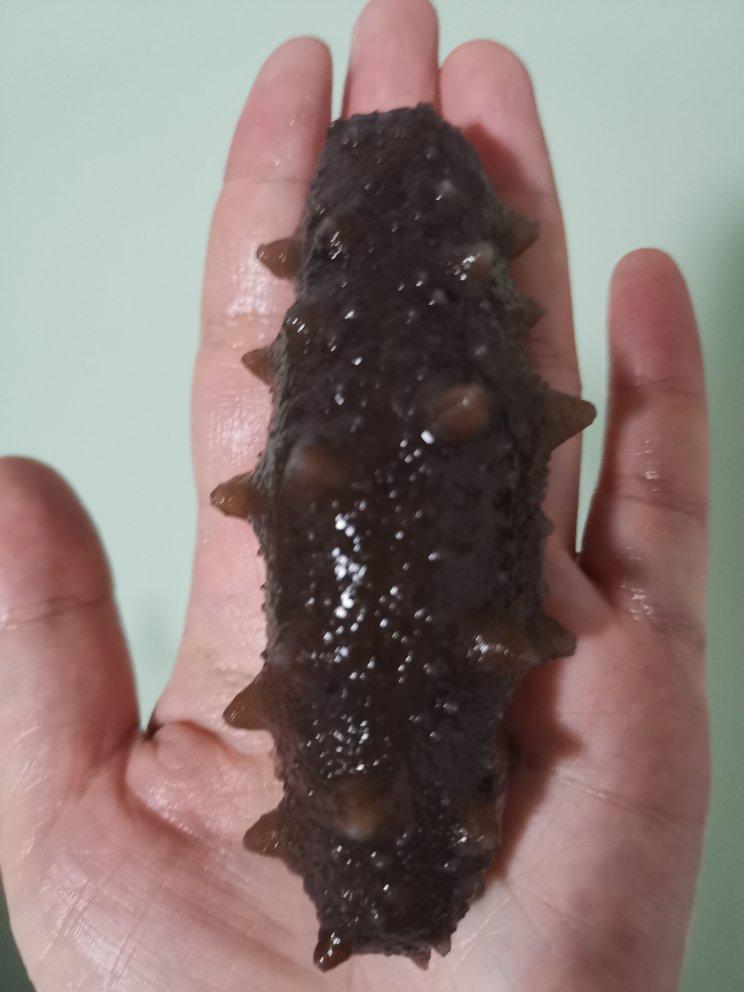 泡发海参的方法
