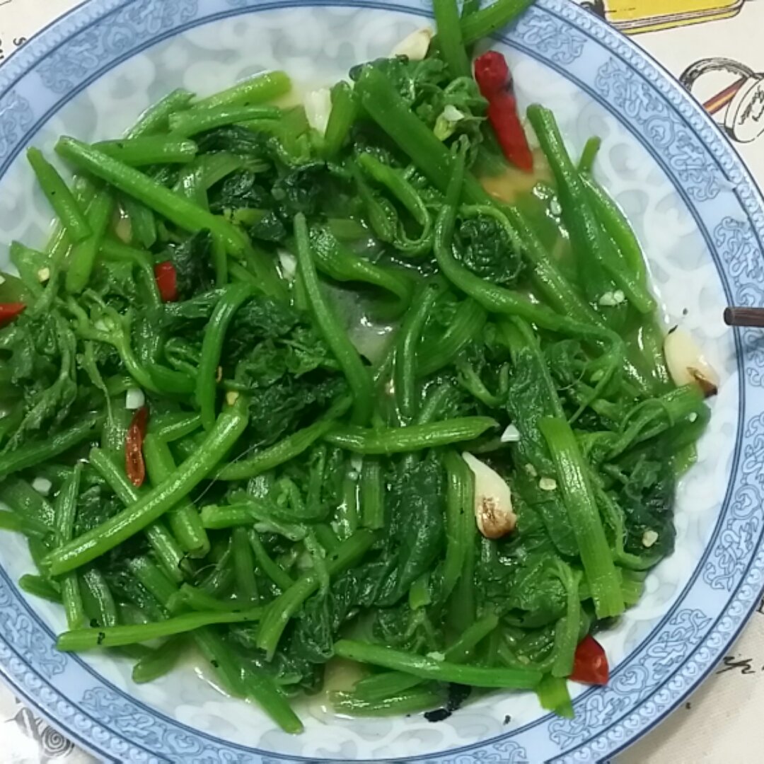 念雨_9w3z做的清炒南瓜藤