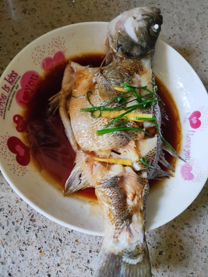 清蒸鲑鱼
