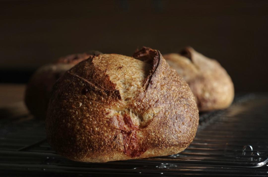 sourdough