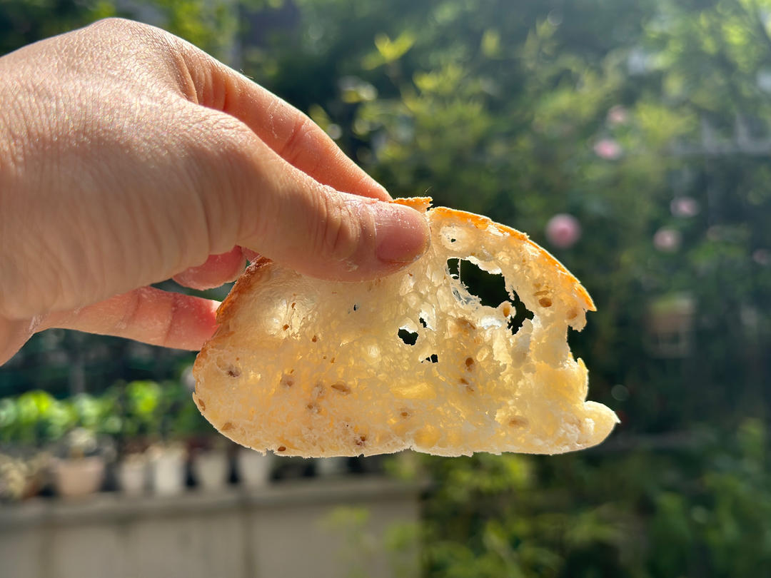 意大利恰巴塔初体验｜无糖少油面包｜波兰种｜大水量