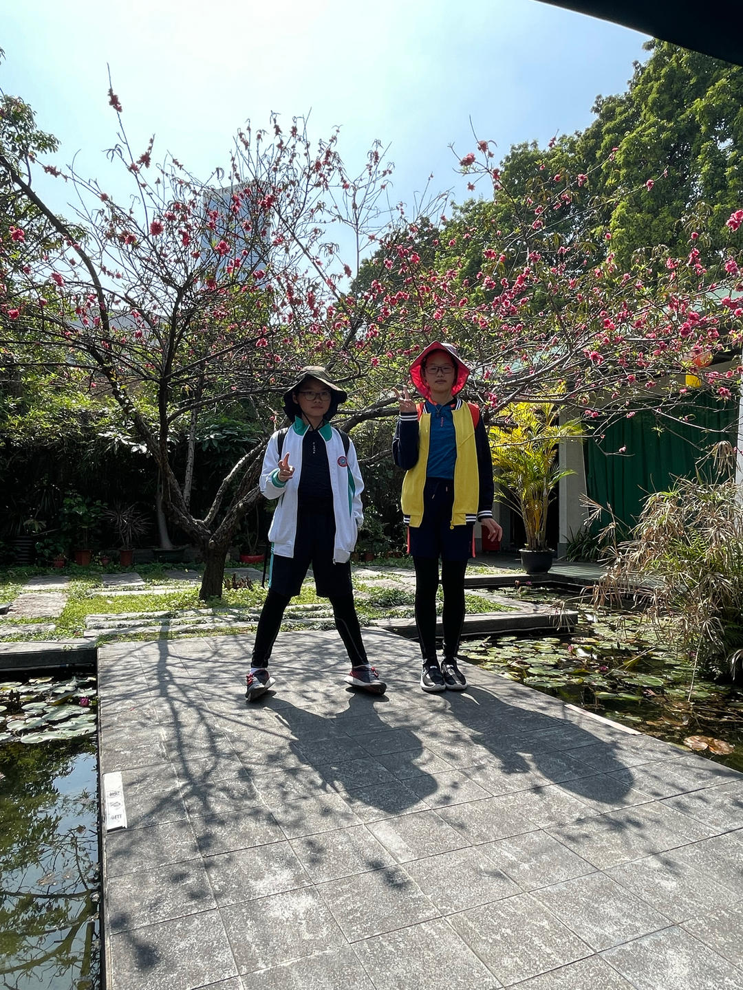 厨渣陆小科