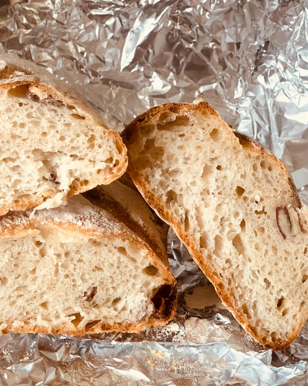 天然酵母（鲁邦种）法式红酒桂圆