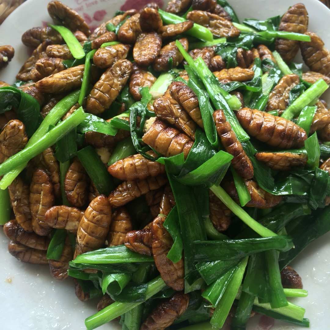 v-gentle徐做的炒金丝蛹