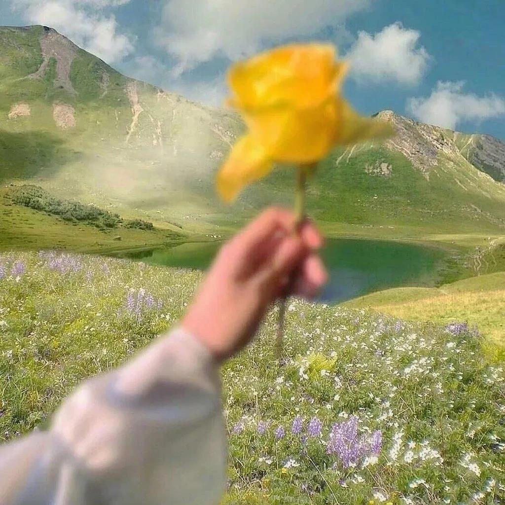 胖虎做菜不摆盘