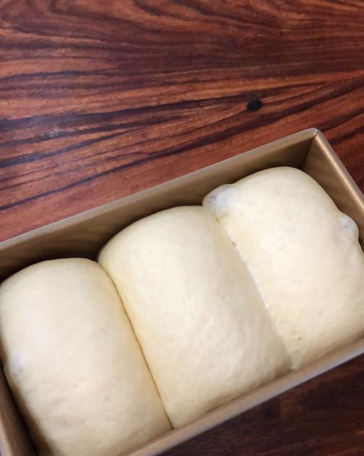 后宫白吐司