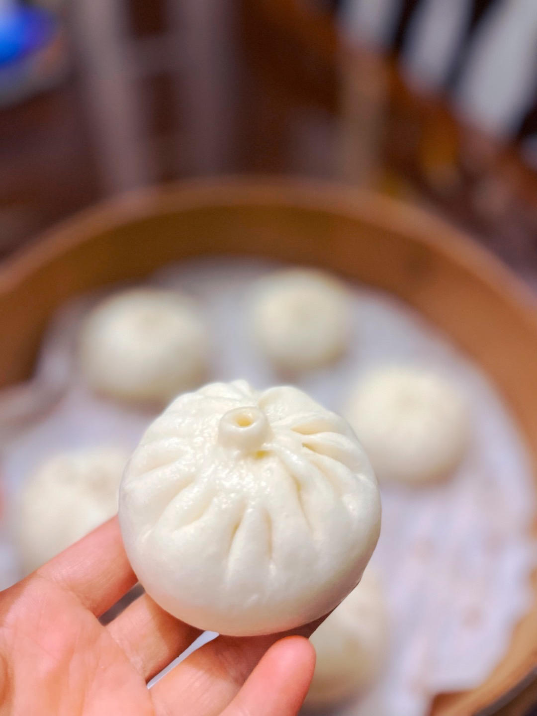 一次发酵肉包子