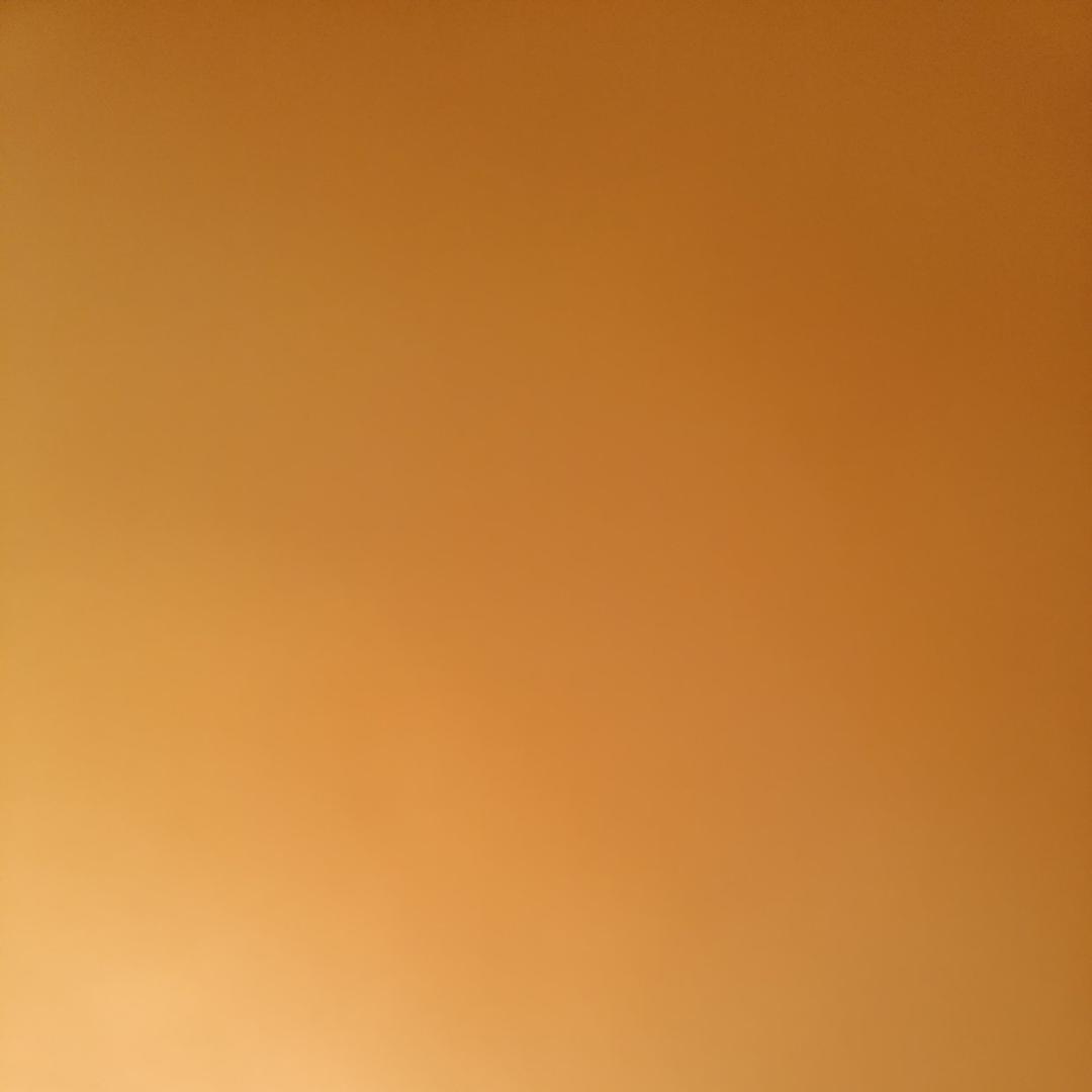 白菜煎丸子