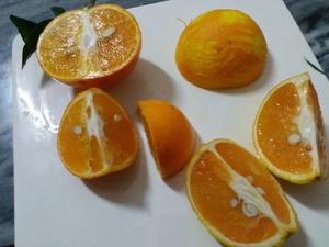 香橙🍊凝乳／卡仕达的做法 步骤1