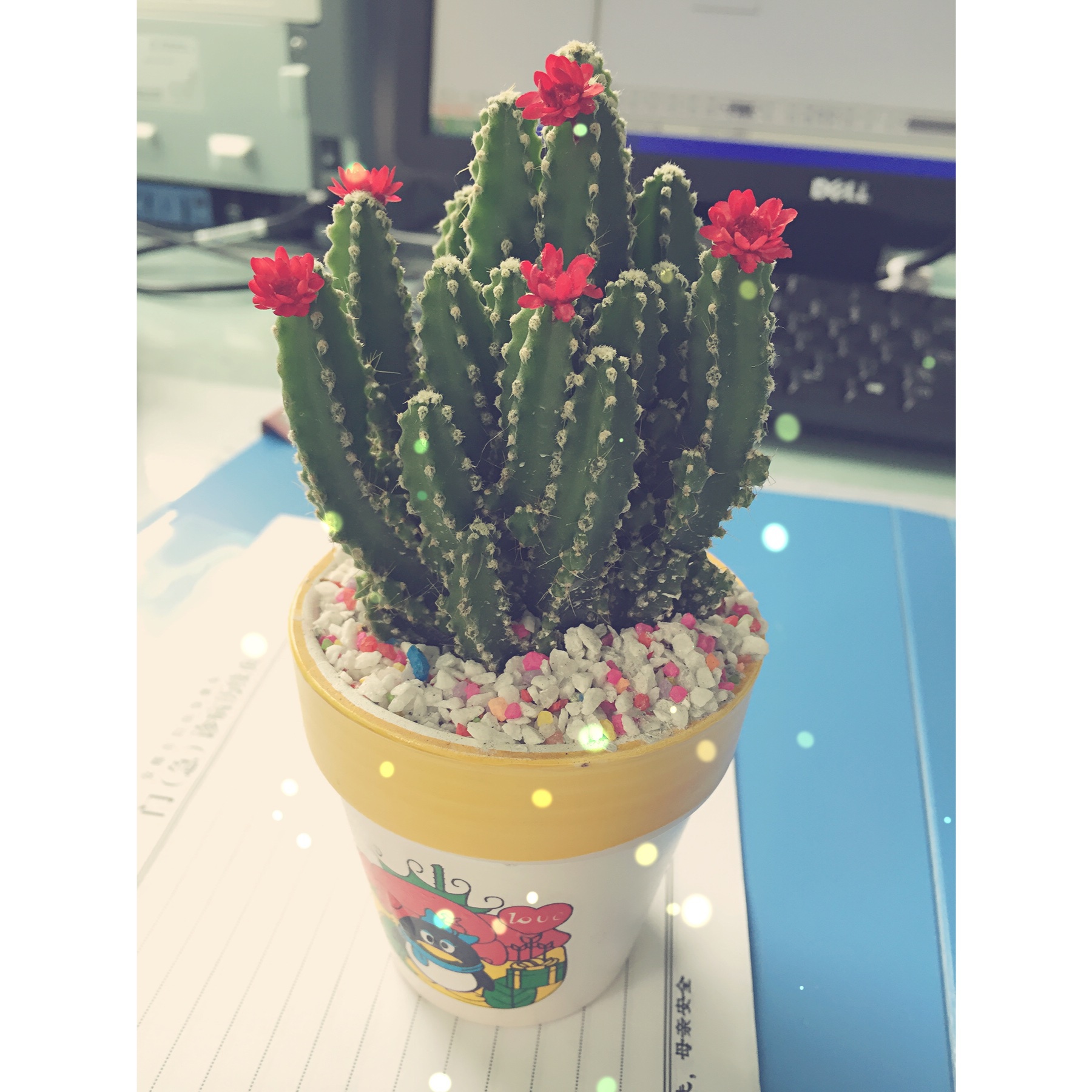 飞奔向前